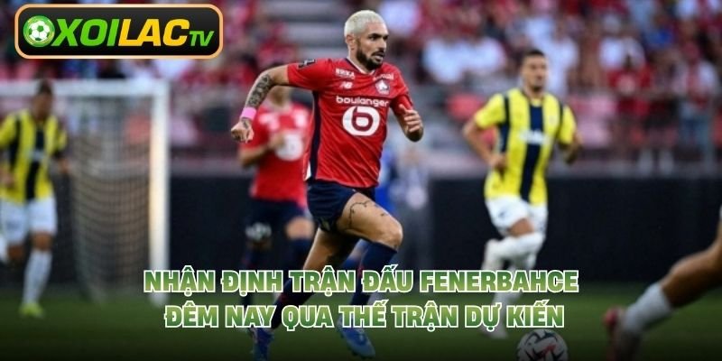Nhận Định Trận Đấu Fenerbahce Đêm Nay Qua Thế Trận Dự Kiến